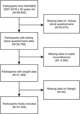 Higher weight-adjusted waist index is associated with increased likelihood of kidney stones